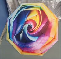 Parapluie Rose